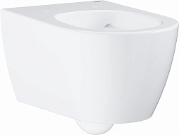 3957100H Essence Ceramic Унитаз подвесной, альпин-белый (12 шт пал - 119464) 500_191_1431888